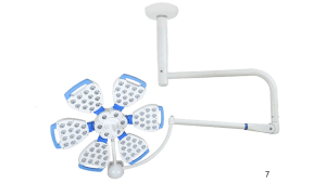 a flare series 7 petal double dome OT Light