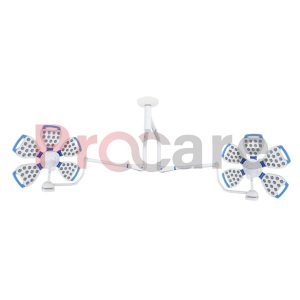 flare 5 plus 4 petal double dome OT Light